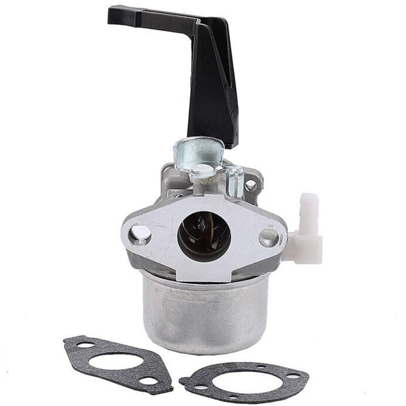 Shining House - 696065 Carburateur pour Briggs & Stratton 696065 697422 110402-0206-E1