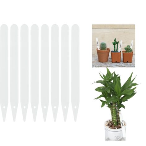 SHINING HOUSE Etiquetas para plantas a granel, 102 mm, juego de 60 piezas