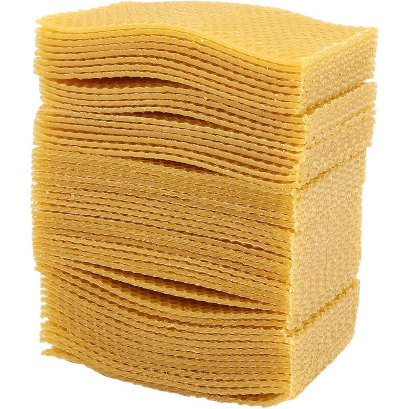 Shining House - 50 PièCes SéRies Apiculture Ruche Apiculture Nid D'Abeille Fondation Cadre Ruche Jardin Ruche Apiculture Outils