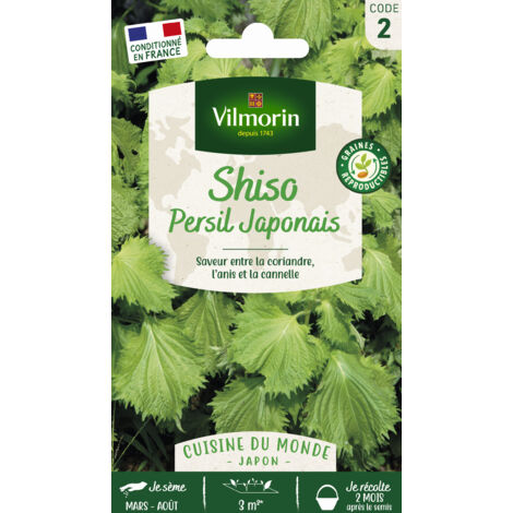Shiso Vert - Cuisine du Monde Vilmorin