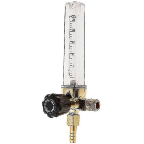 Short en jean à franges en strass pour femme, taille haute, déchiré, orné de strass.