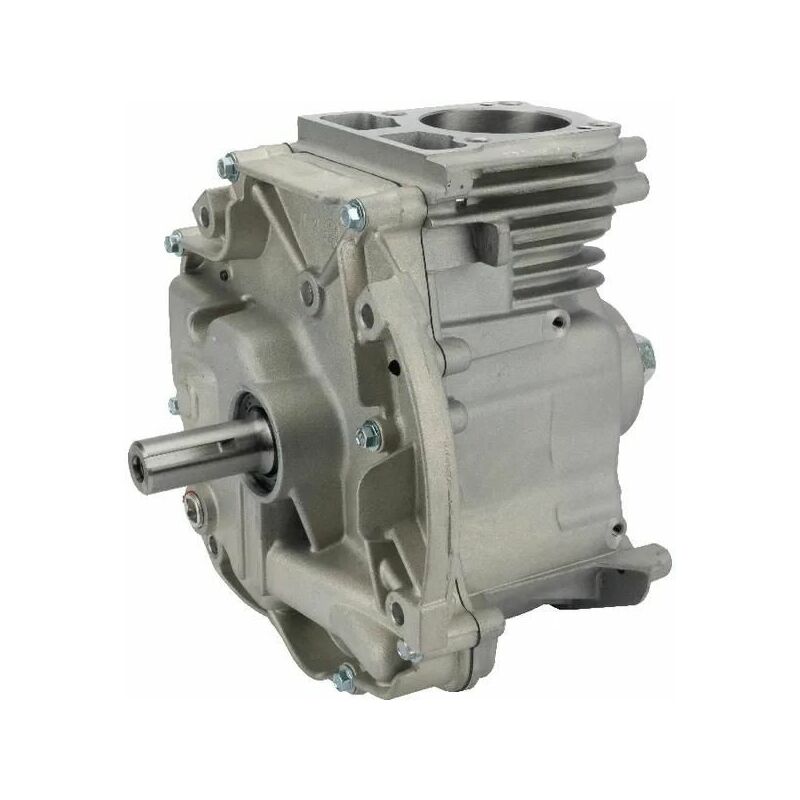 Briggs&stratton - Bloc moteur tondeuse Briggs et Stratton dov 62x22,2 mm - 795157A