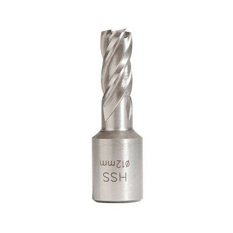 Sidamo - Fraise HSS Weldon 19 mm hauteur 25 mm D. 12 mm