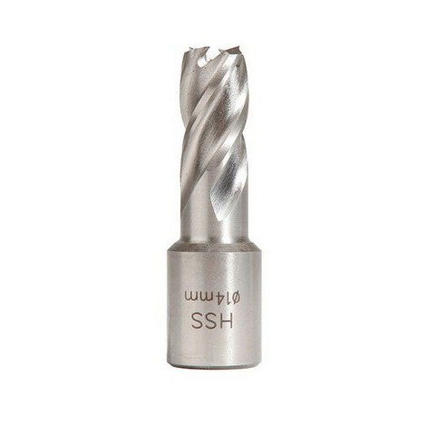 Sidamo - Fraise HSS Weldon 19 mm hauteur 25 mm D. 15 mm