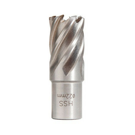 Sidamo - Fraise HSS Weldon 19 mm hauteur 25 mm D. 50 mm