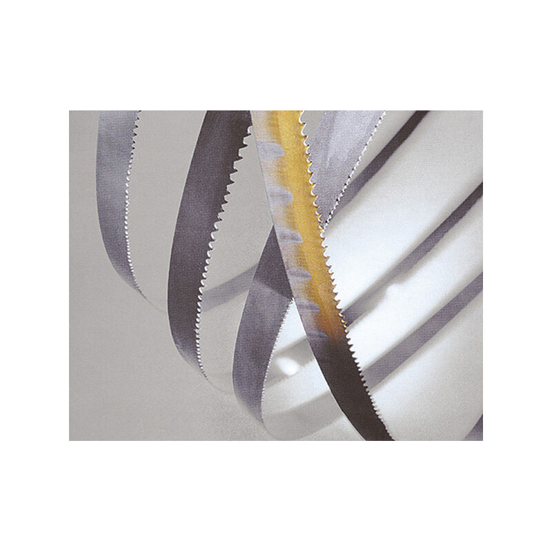 Sidamo - ruban bimetal 1735 x 13 x 0,6 - 10/14 dents 20198520