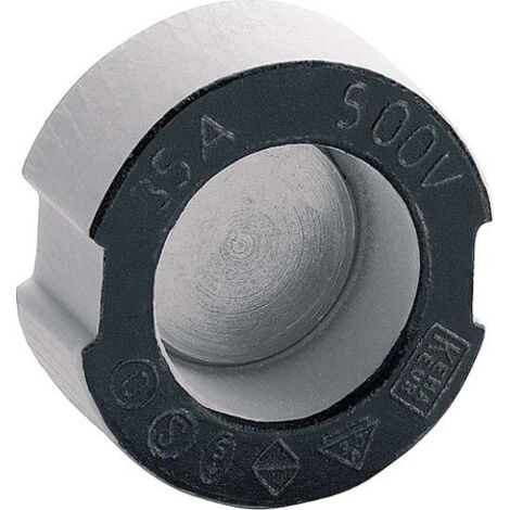 Siemens 5SH318 Vite passante Misura fusibile = DIII 50 A 25 pz.