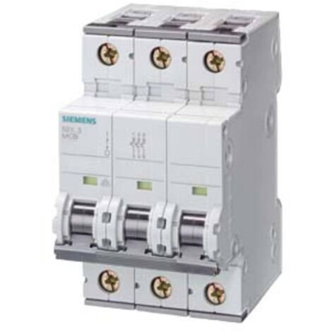 Siemens 5SY4306 Interruttore 6 A 3 poli grigio