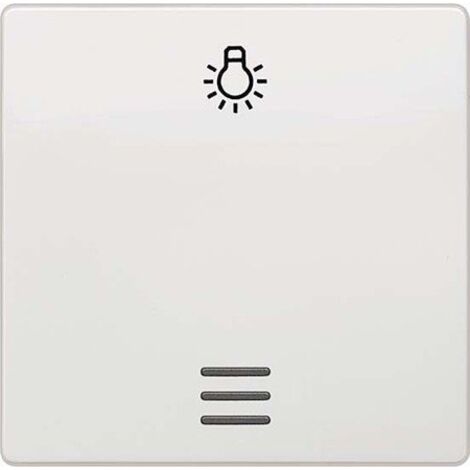 Siemens Indus.Sector Wippe m.Fenster Licht Delta Vita, tws 5TG6206
