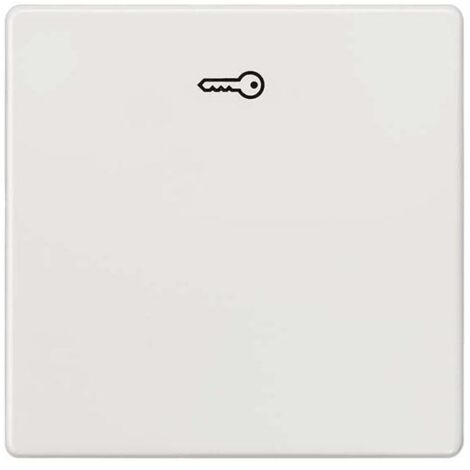 Siemens Indus.Sector Wippe m.Symbol Türöff. Delta Vita, tws 5TG6208