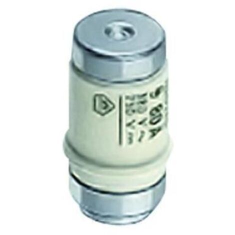Siemens Neozed Sicherungseinsatz, D02 25A