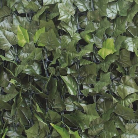 Siepe artificiale Pannello sempreverde edera MT 3 x 1 h
