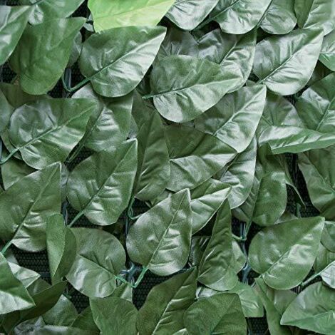 Siepe di lauro, alta qualitò, 1,5x3 mt, verde