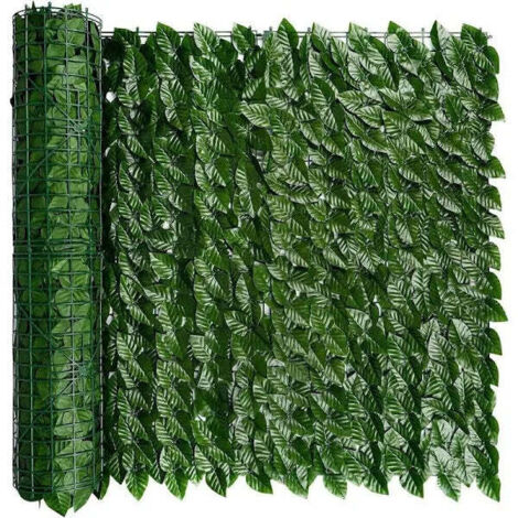 Siepe Edera h 100 m 20 Ilcampo 06231