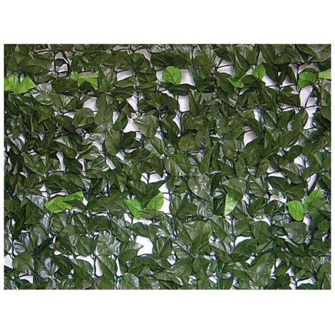 SIEPE EVERGREEN BRIXO LAURO 1X20MT
