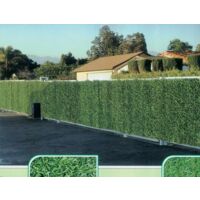 Siepe finta artificiale Green Screen H.150 3 MT sempreverde fascette omaggio