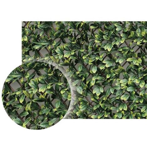 SIEPE PANELGREEN BRIXO TRELLIS100X200CM