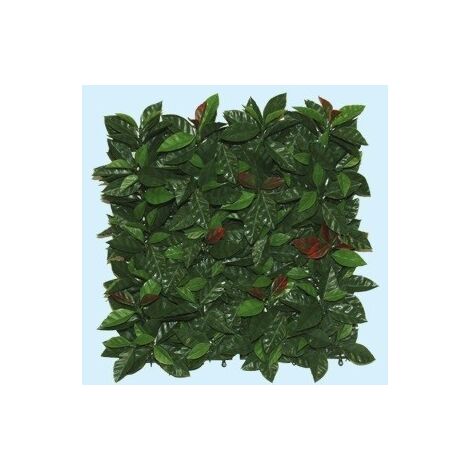 Siepe simil platano in quadrotti 50x50cm
