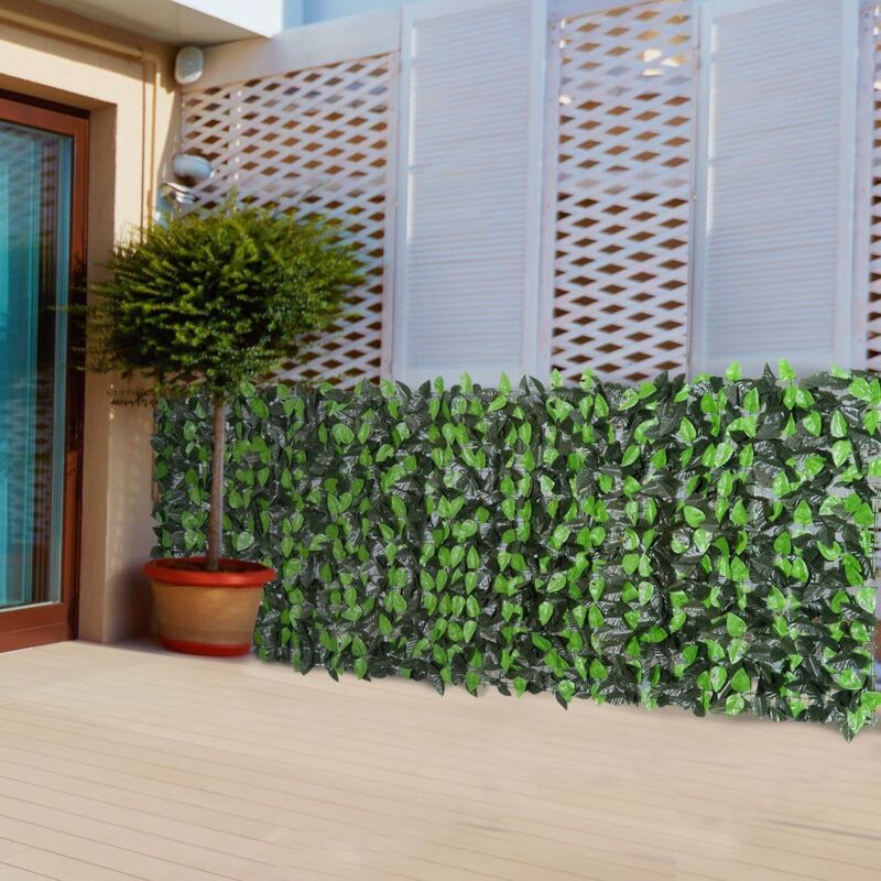 Siepe Sempreverde Edera C ombreggio 1x3 Mt Blinky
