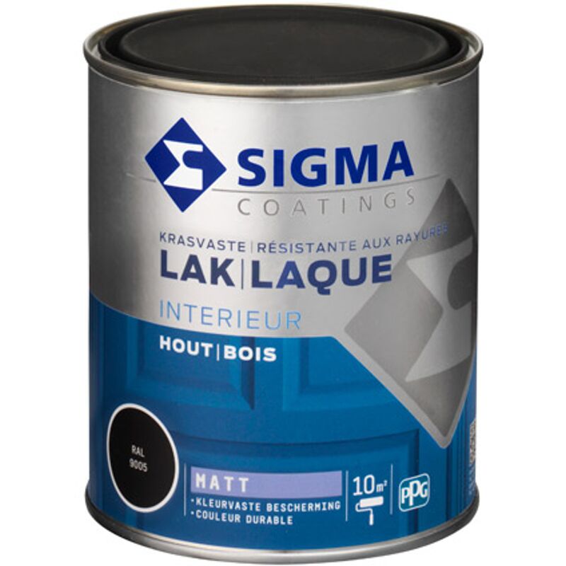 

Sigma Negro Laca Mat - 750ml - Noir