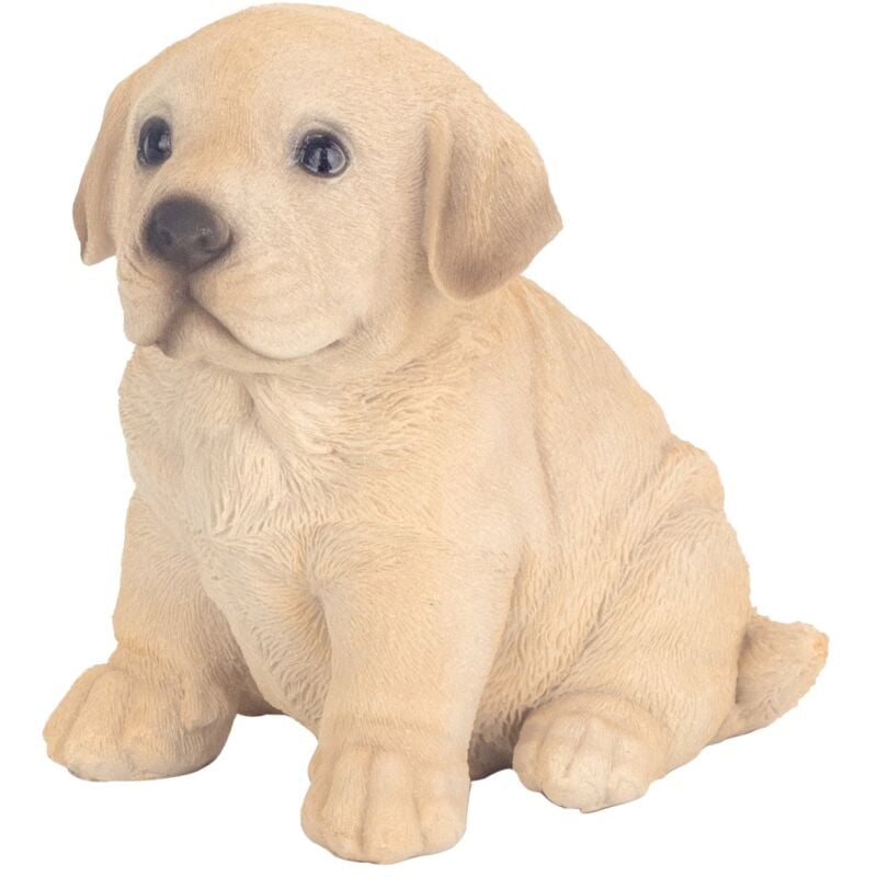 Signes Grimalt - Figurine de chien bohème pour décoration de la maison et cadeau original