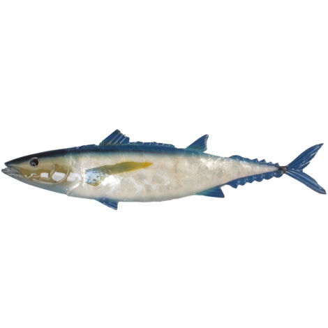 Signes Grimalt Nacar Décoration Murale Poisson Appliques Métal 18x70x2cm Argent - Décoration Murale Ethnique et Elégante