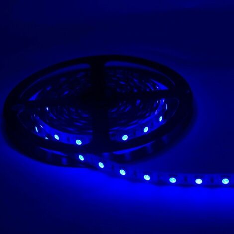 Silamp – Ruban LED 12V 5M bleu IP54 SMD 2835 60LED/m – Étanche pour intérieur et extérieur – 4.8W/m – 50 lumens/m
