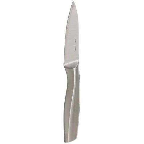 Silbernes Edelstahlmesser zum Schneiden und Schälen von Früchten
