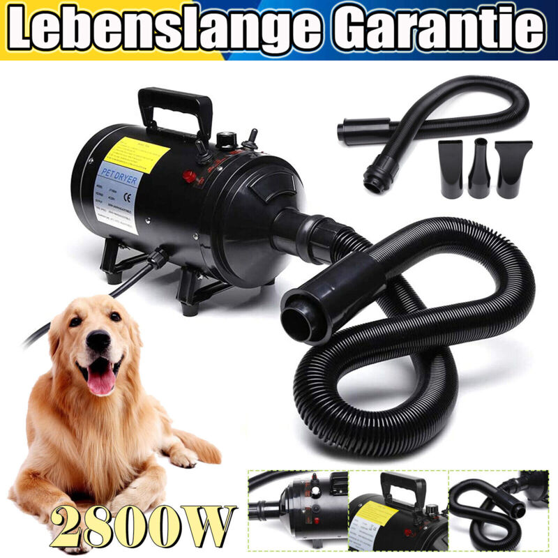 Silencieux chien chat animal séchoir toilettage cheveux 4 en 1 souffleur