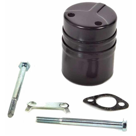 Silenziatore  Motore Tecumseh TNT 100/120 vers. TORO-300012