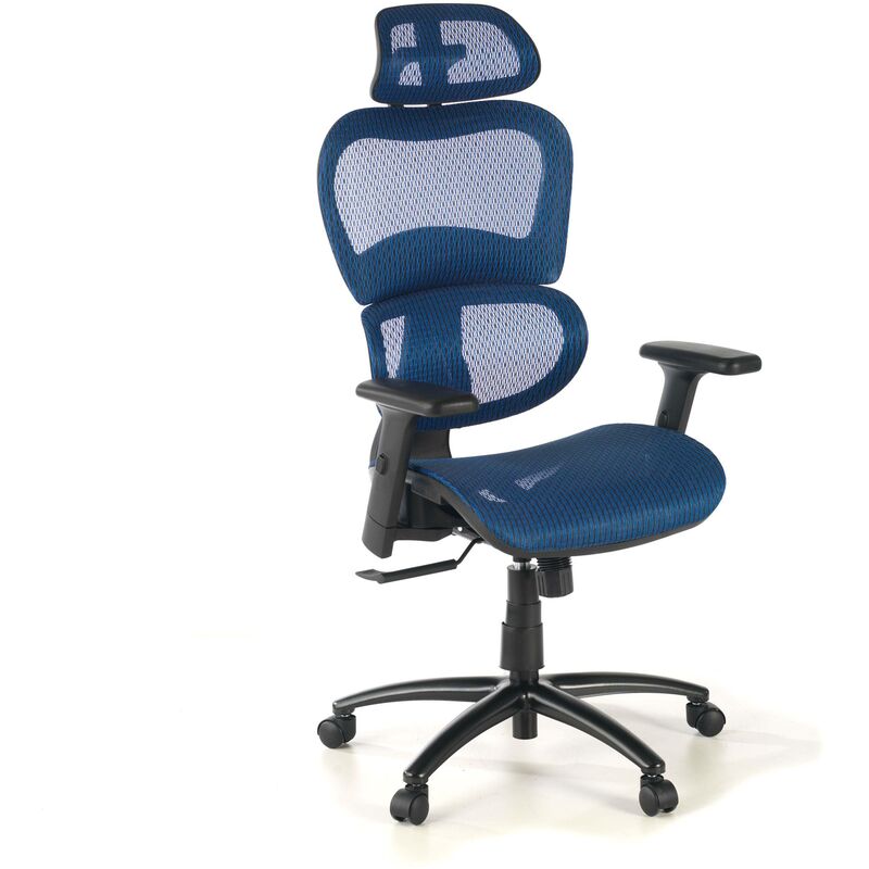 

Silla de oficina Ergocity cojin lumbar brazos 3D azul - azul