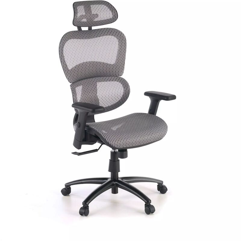

Silla de oficina Ergocity cojin lumbar brazos 3D gris - gris