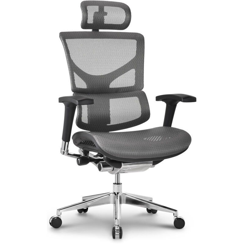 

Silla de oficina ergonómica Spokane Gris
