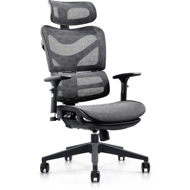 

CLP - Silla de oficina ergonómica Renens Negro