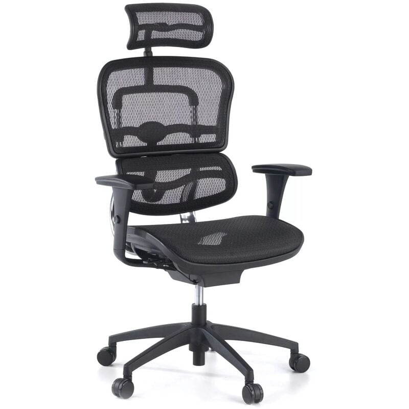 

Ofiprix - Silla de oficina Ergoplus, respaldo de red, aluminio negro - negro