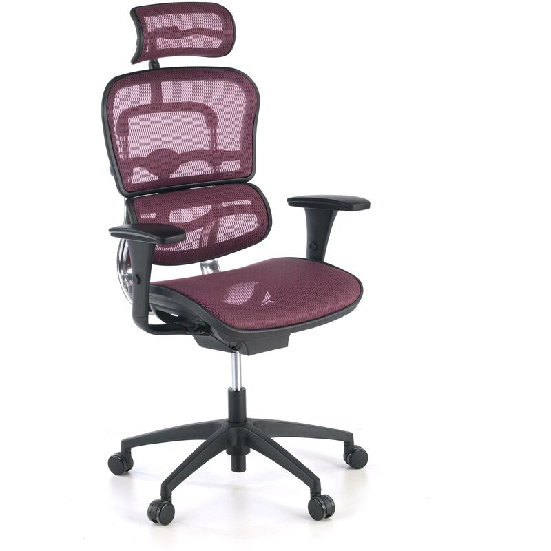 

Ofiprix - Silla de oficina Ergoplus, respaldo de red, aluminio rojo - rojo