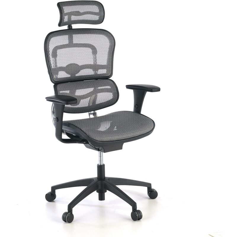 

Ofiprix - Silla de oficina Ergoplus, respaldo de red, aluminio gris - gris