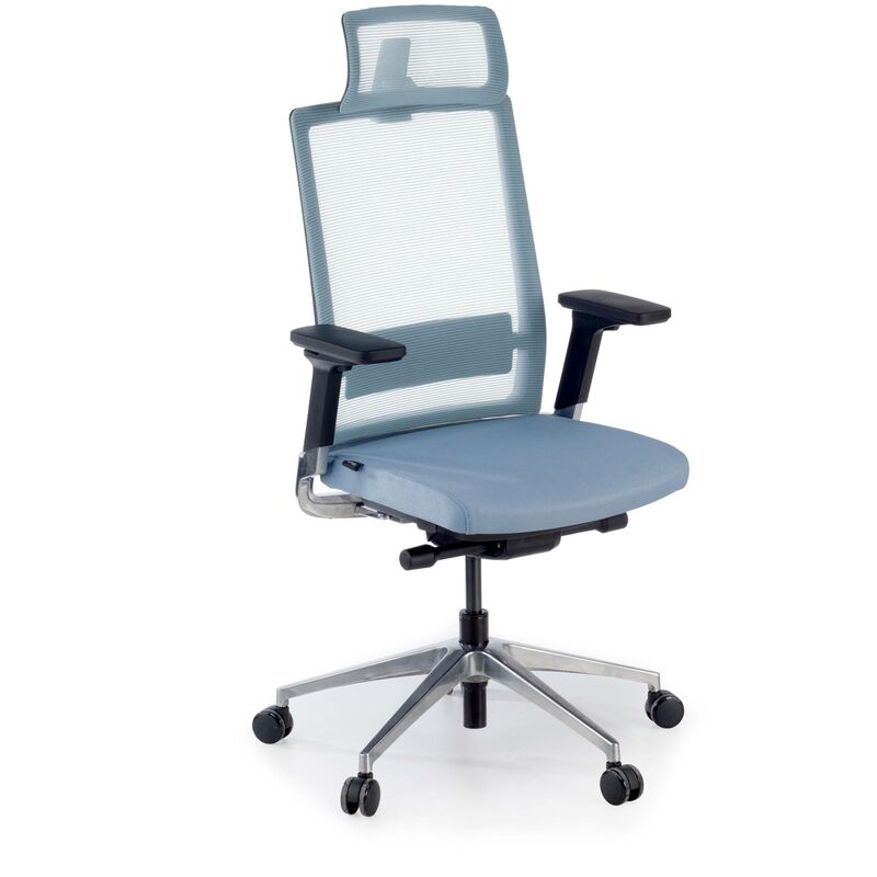 

Ofichairs - Silla de oficina Physix, mecanismo sincronizado reposacabezas red azul - azul
