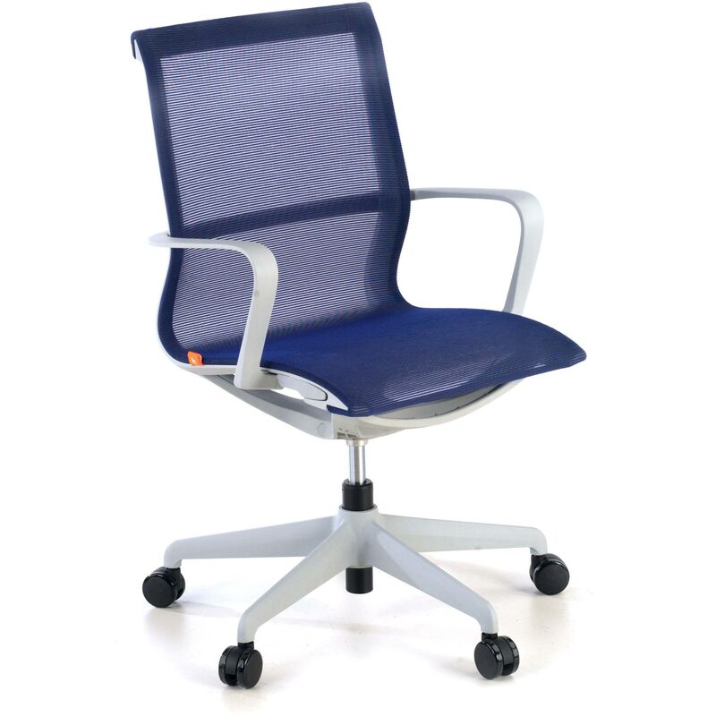 

Silla oficina de diseño Ice grey, red azul - azul