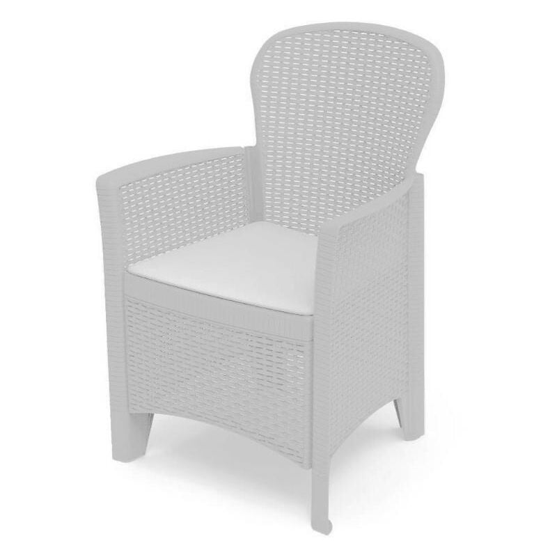 

Progarden - BLUNGI sillon resina folia blanco + cojin