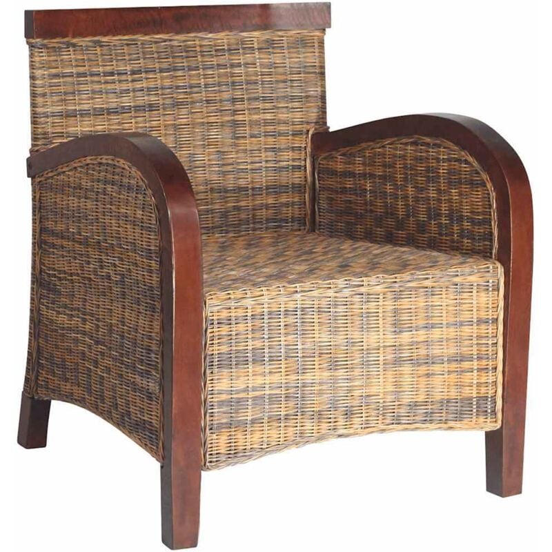 

Sillón de ratán tejido a mano - Marrón - Vidaxl