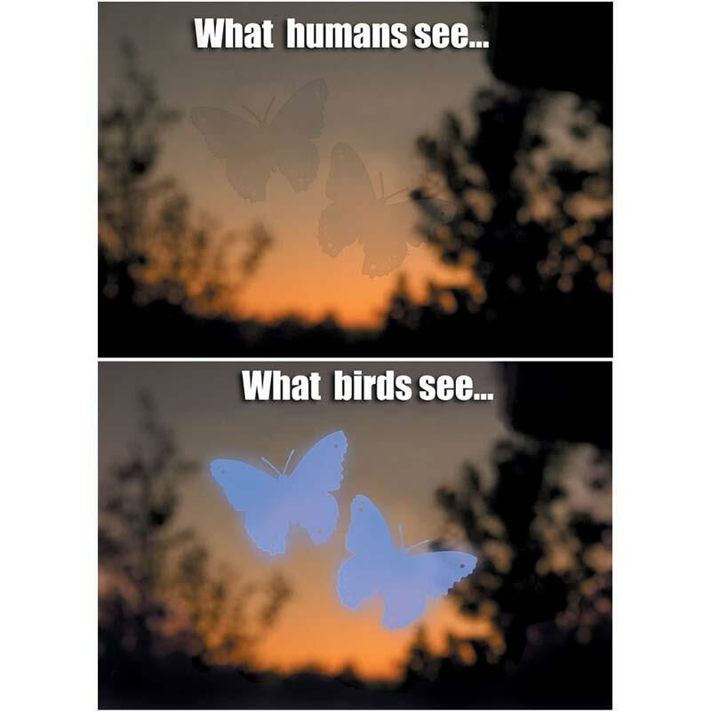 

Jacobi Jayne - Siluetas WindowAlert Mariposas