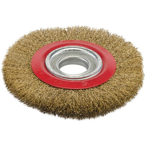 Silverline – Brosse circulaire métallique 150 mm – Fils d'acier trempé et laitonné – Adaptable sur tourets – Ébavurage, détartrage, polissage