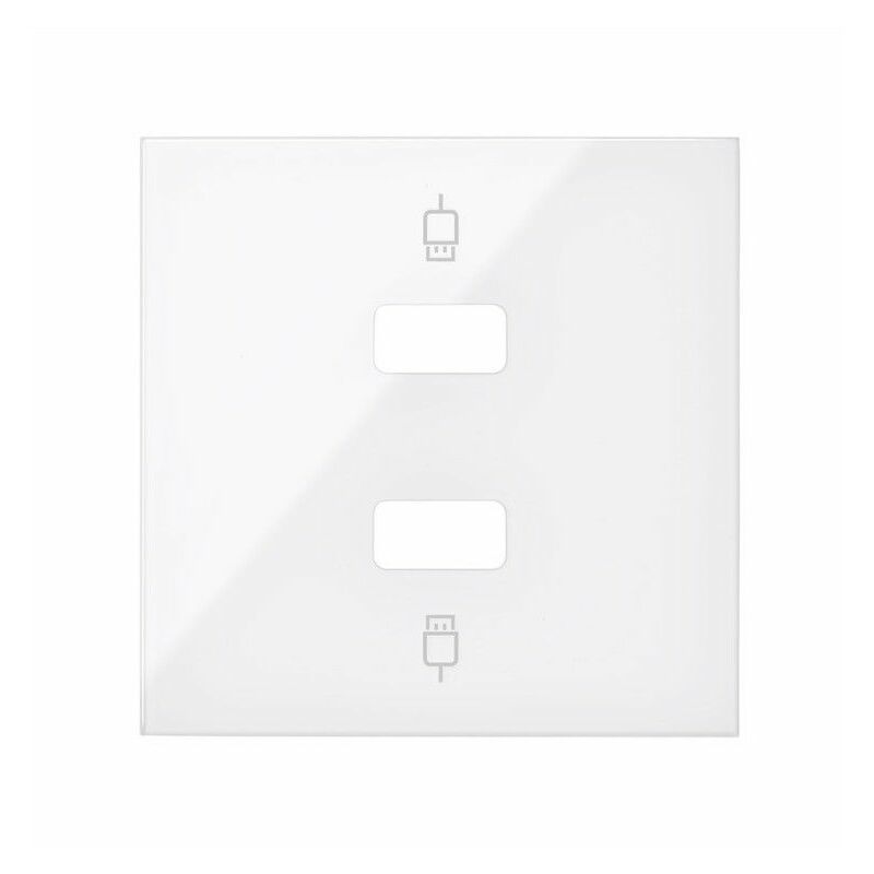 

100 - Tapa para 2 conectores USB 2M blanco brillo 10001090-130 - Simon