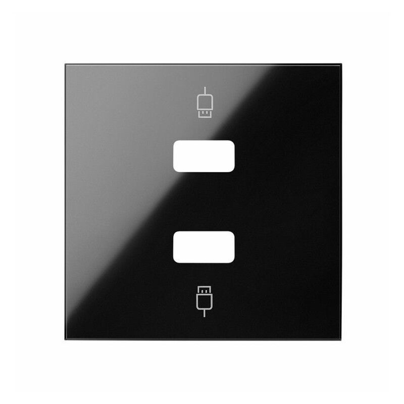 

100 - Tapa para 2 conectores USB 2M negro brillo 10001090-138 - Simon