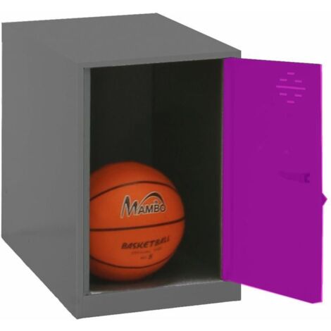 Simonlocker Mon. Mini 475x300x500 Mm Ant/ros 475x300x500
