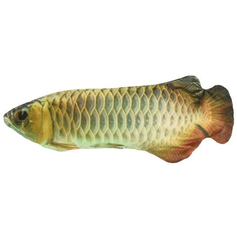 Simulation d'herbe à chat Arowana poisson pour chat jouant à mâcher jouet électrique rechargeable Te