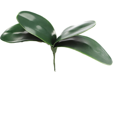 Simulation EVA Phalaenopsis Feuilles Feuilles D'orchidées, Fausse Feuille Real Touch Latex Cymbidium Tiges pour Arrangements De Fleurs Pot Décor (C)