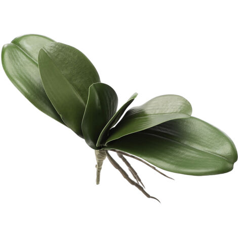 Simulation EVA Phalaenopsis Feuilles Feuilles D'orchidées, Fausse Feuille Real Touch Latex Cymbidium Tiges pour Arrangements De Fleurs Pot Décor (Z)