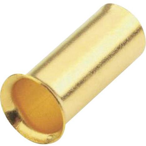 SINUS LIVE AE  6, 0 PUNTALINI P12 6, 0 MM², 12 PEZZI